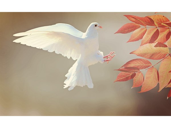 這四點(diǎn)方法將告訴你，如何為兒童進(jìn)行科學(xué)啟蒙